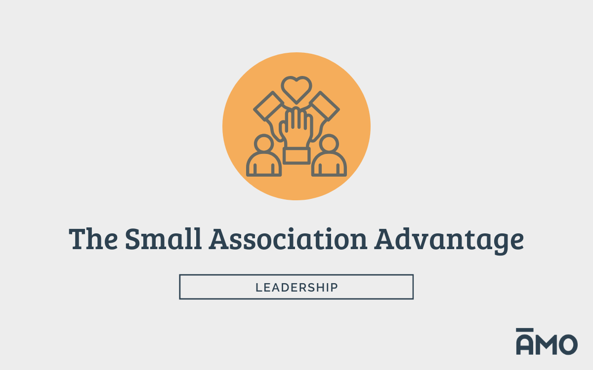 Icon showing people and a helping hand inside a circle above the headline “The Small Association Advantage,” labeled “Leadership,” with AMO branding.