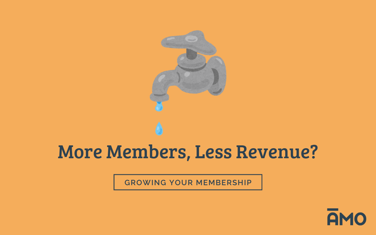 Dripping faucet icon above the text “More Members, Less Revenue?”